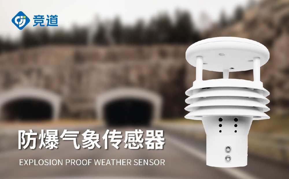 防爆風(fēng)速風(fēng)向儀